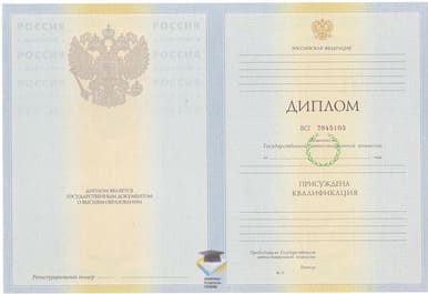 Диплом РИБиУ 2010-2011 годов